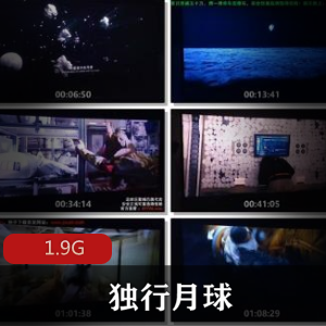 （独行月球）百度内部盘