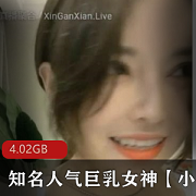 巨兔女神：巨大兔子造型的女神装饰品小雅小雅：精致雅致的小型家居摆件收费房：收费的房屋租赁服务醉酒秀：酒后表演的娱乐活动
