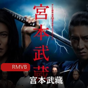 宫本武藏珍贵典藏版