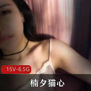 虎牙下水主播楠夕猫心资源合集，6.5G高清视频，颜值身材一应俱全