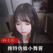 小舞酱4V自拍合集，2.2G大片，含TS内容