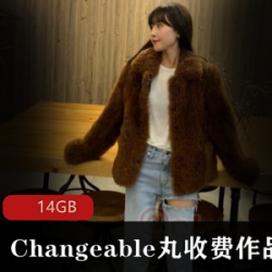 限时特惠Changeable丸微博超薄线袜图片视频合集