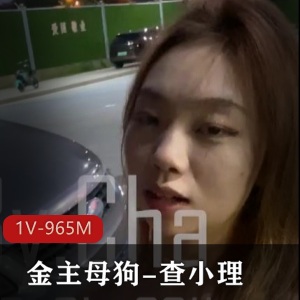 推特金主小狗查小理：勾引跪舔后推车，精选资源FSS，用口怼脸上