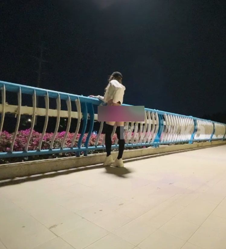 展示任务小视频合集26v28g百度盘资源