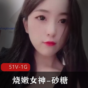 砂糖：51个视频，1G，长腿A4腰软妹子九尾姿势