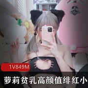 微博美少女绯红小猫高颜值腮红诱惑，视频合集849M！