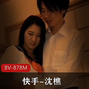 沈樵替身演员回归大牌明星作品集4V-1.8G清晰画质