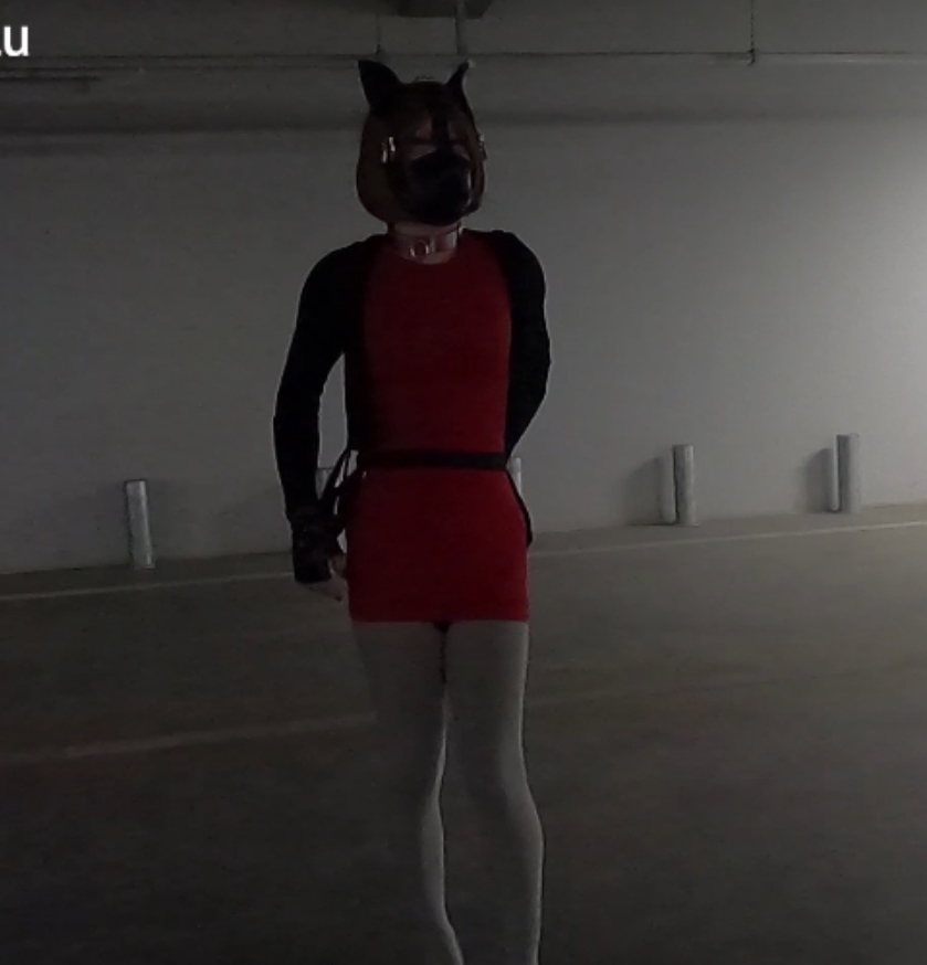 满月之夜精彩合集，17.9G视频大放送！