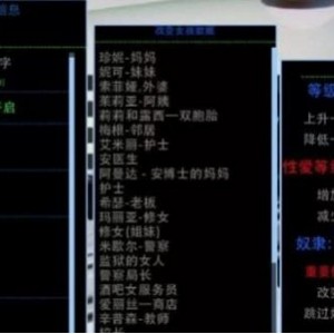 岛国SLG游戏佳作（腐化）作弊完全汉化版